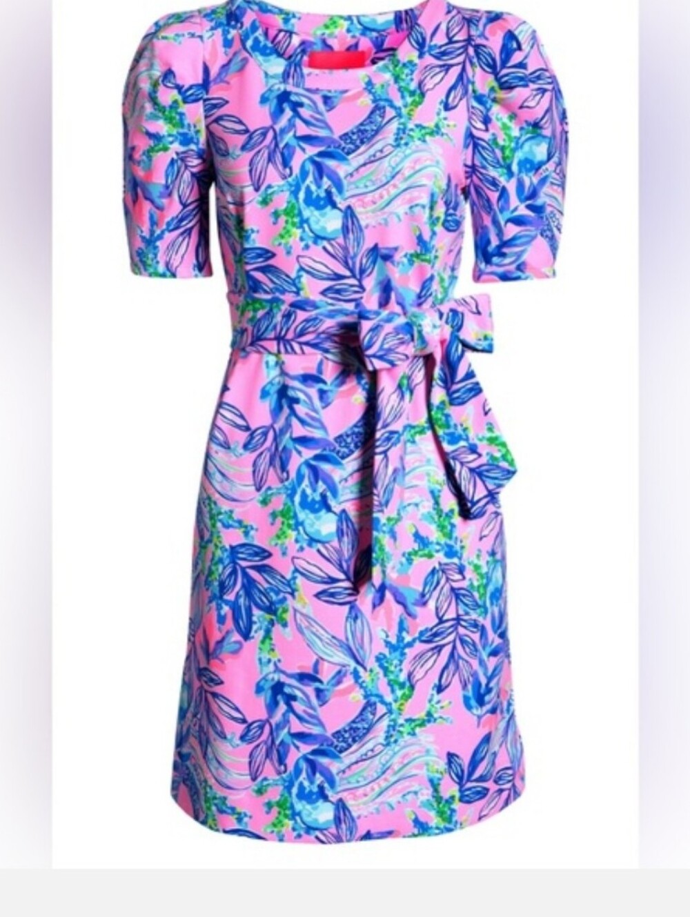 Lilly Pulitzer Harriet Dress Medium